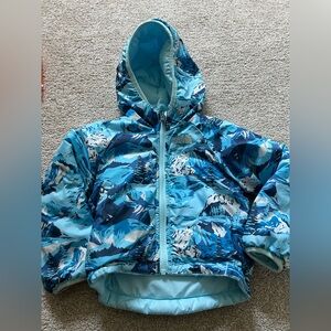 The North Face Blue and White Mountain Print Jacket